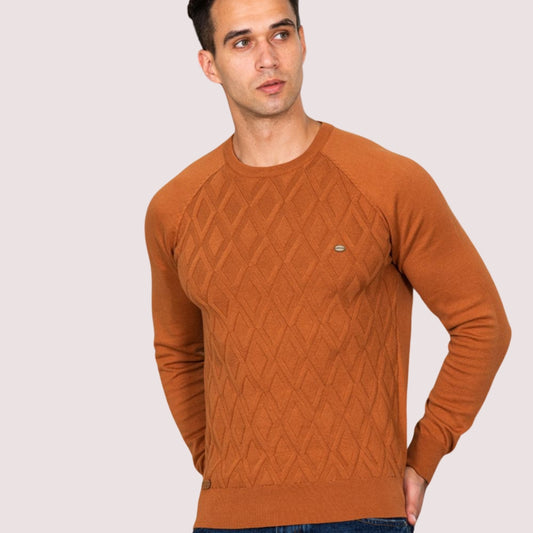 Pull Homme à Motif Argyle et Col Rond